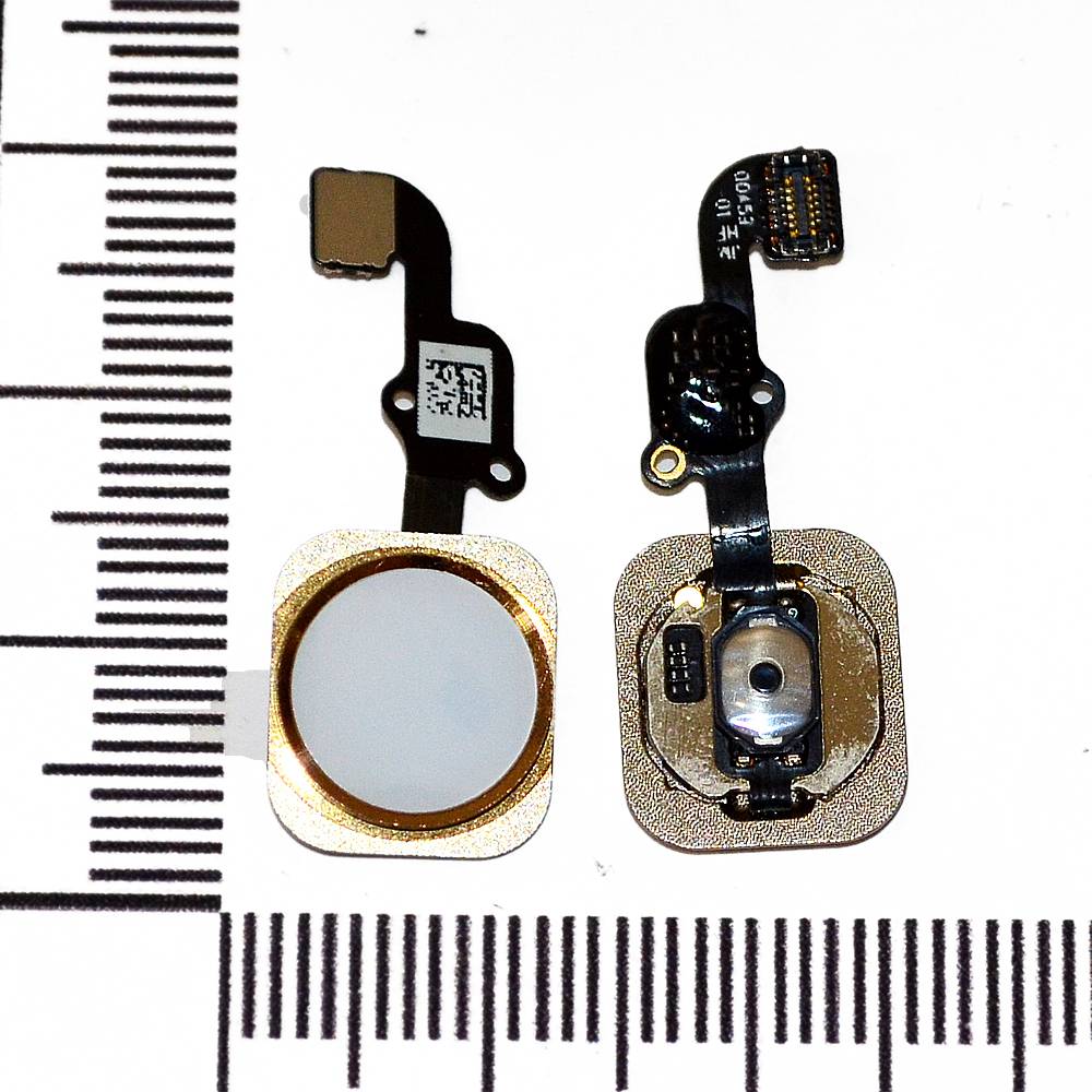 Механизм кнопки HOME iPhone 6S Plus с толкателем и шлейфом золото